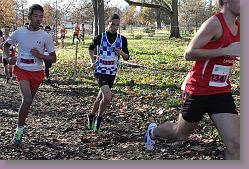 Begles 15.12.13 01 584 * 679 x 453 * (202KB)